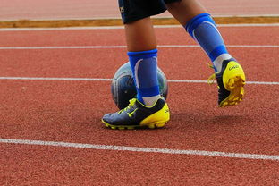 星空体育下载网址-明星球员带动体育产业发展，打造体育明星的弊端