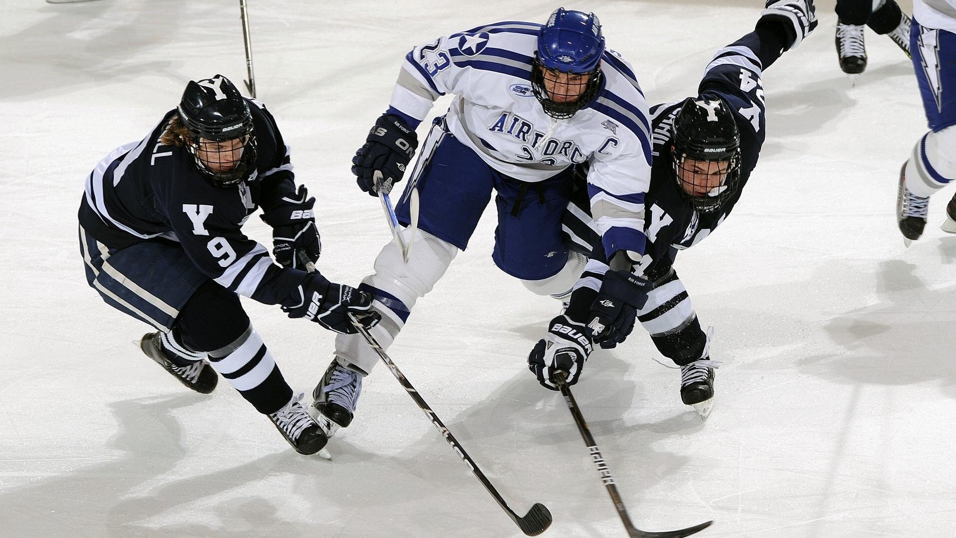 体育新闻中心独家人物专访,体育新闻的主持人是谁